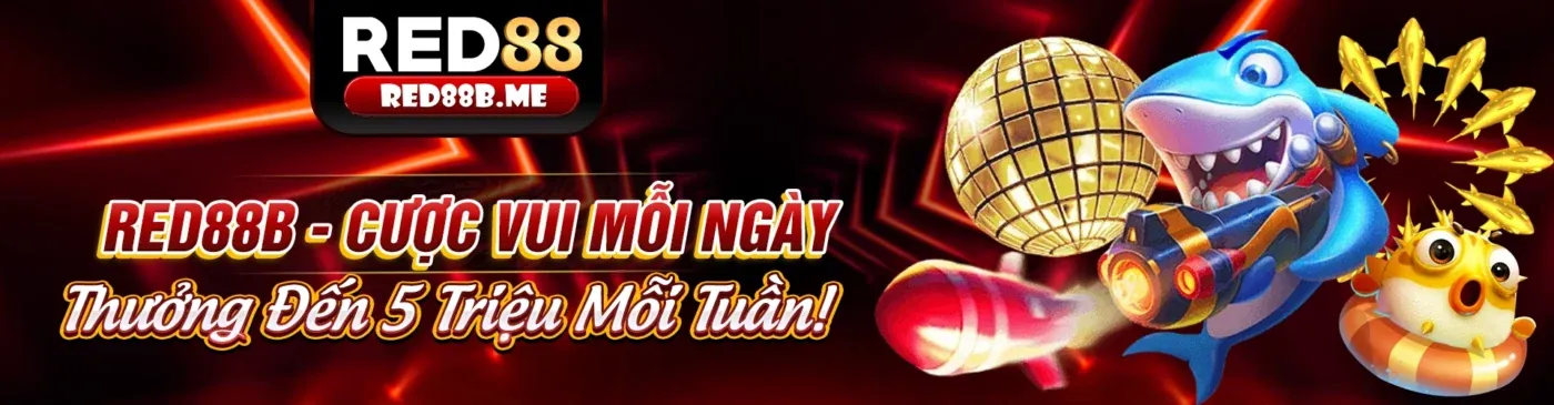 Hình ảnh giới thiệu KU888 Code và hướng dẫn người mới